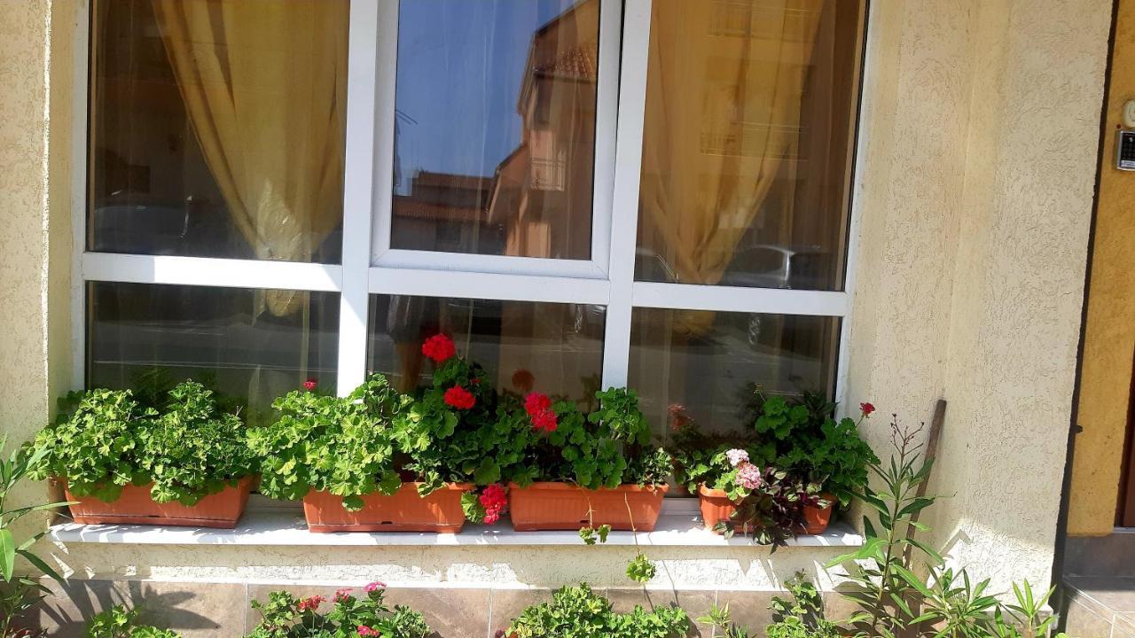 Къща За Гости Вълчеви Несебър Esterno foto